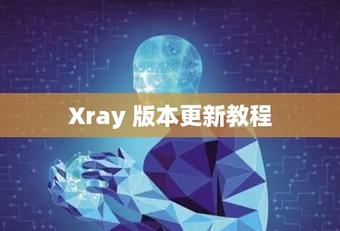 Xray 版本更新教程 Xray 版本更新教程