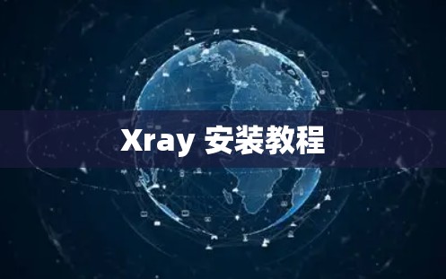 Xray 安装教程 Xray 安装教程