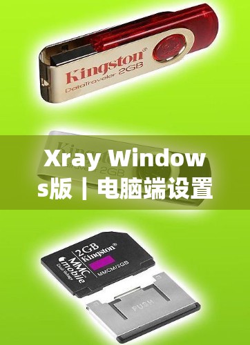 Xray Windows版|电脑端设置方法 Xray Windows版|电脑端设置方法