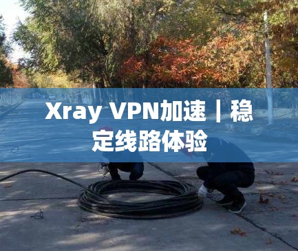 Xray VPN加速|稳定线路体验 Xray VPN加速|稳定线路体验
