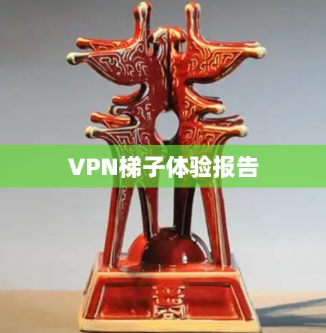 VPN梯子体验报告